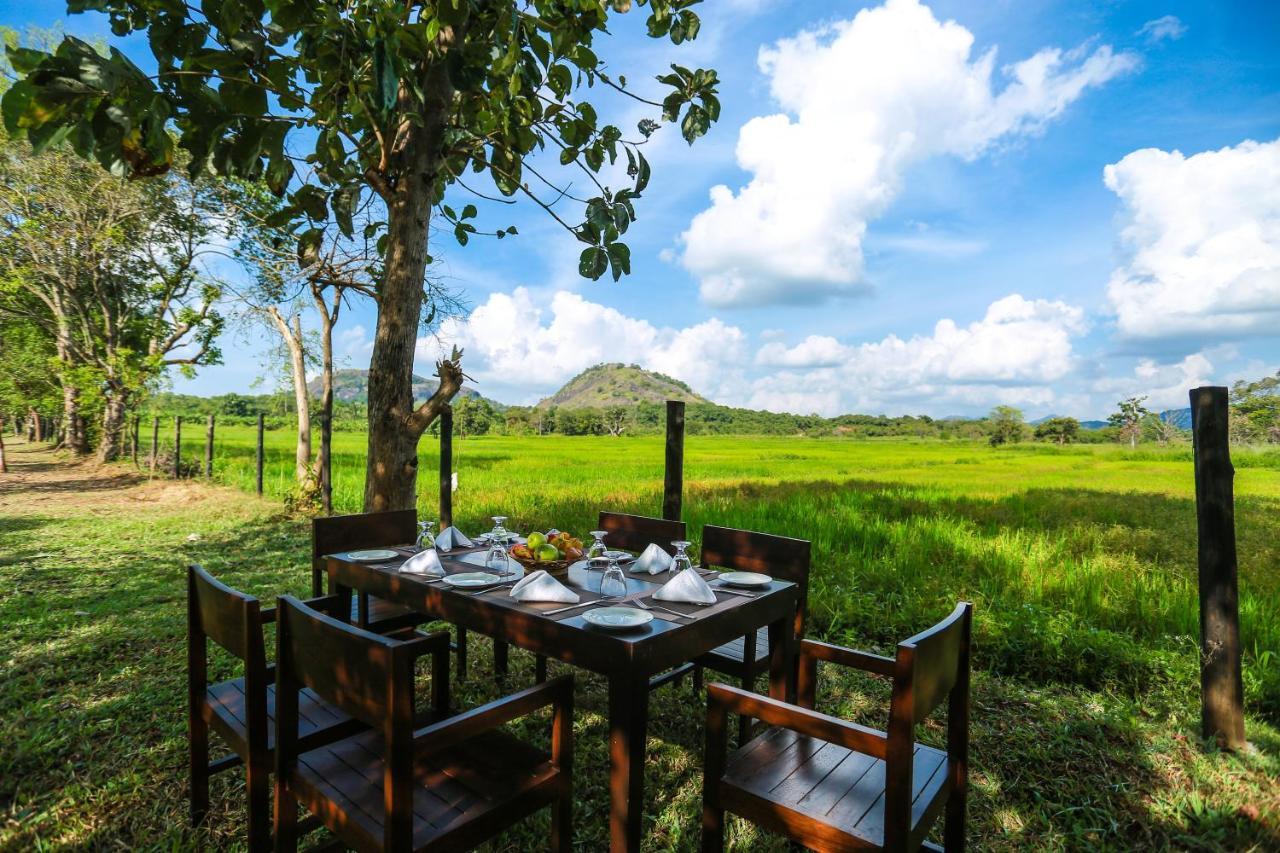 Tropical Life Resort And Spa ดัมบูลลา ภายนอก รูปภาพ
